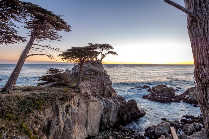 Samotny Cyprysowy drzewny widok przy zmierzchem wzdłuż sławnej 17 mil przejażdżki - Monterey, Kalifornia, usa obraz stock Samotny Cyprysowy drzewny widok przy zmierzchem wzdłuż sławnej 17 mil przejażdżki - Monterey, Kalifornia, usa obraz stock