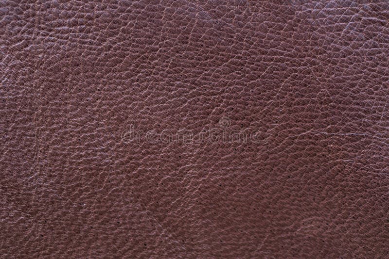 A Sample of Brown Leather Cloth for Sewing Stock Image Image of