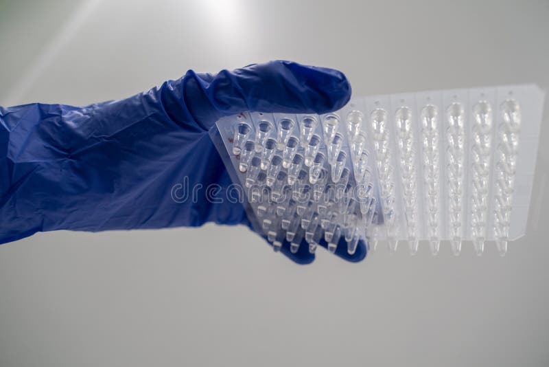 Samples of RNA were prepared in 96 well for real-time PCR polymerase chain reaction that can detect amount of specific gene expression. The reaction combines the first-strand cDNA synthesis reaction and real-time PCR reaction in the same tube.