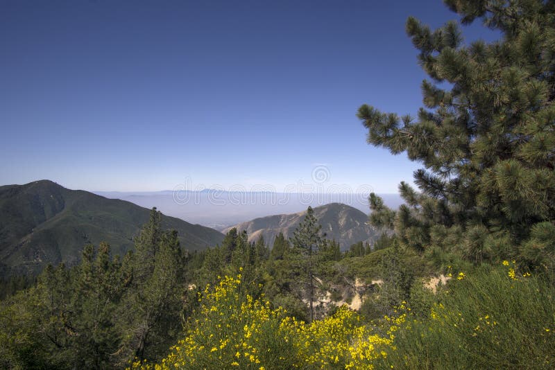 San Bernardino National Forest, Ca,USA near Big Bear Lake