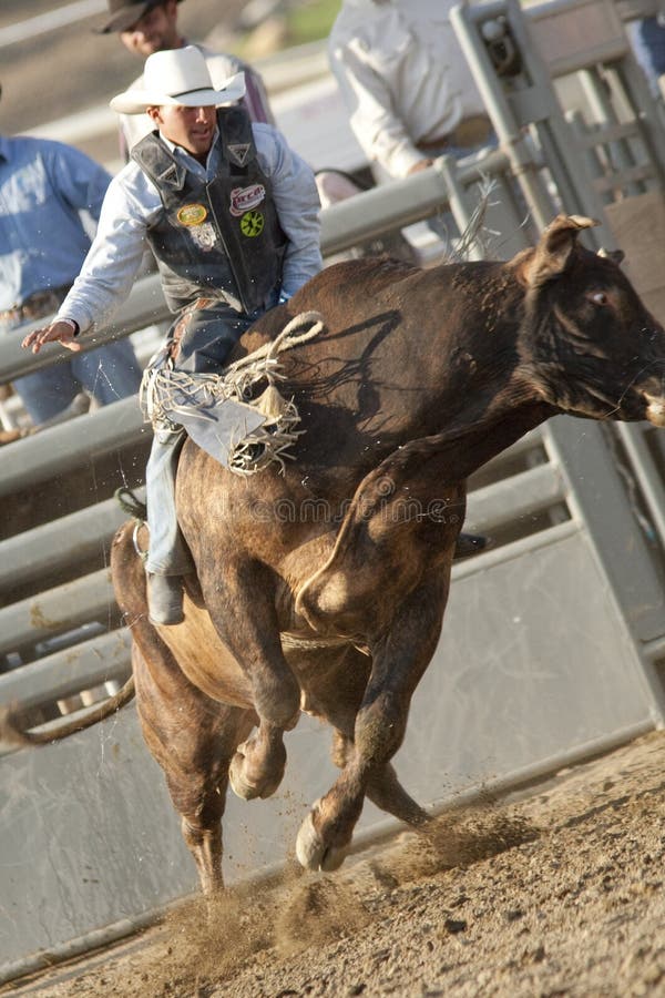 San Dimas Bull Riding