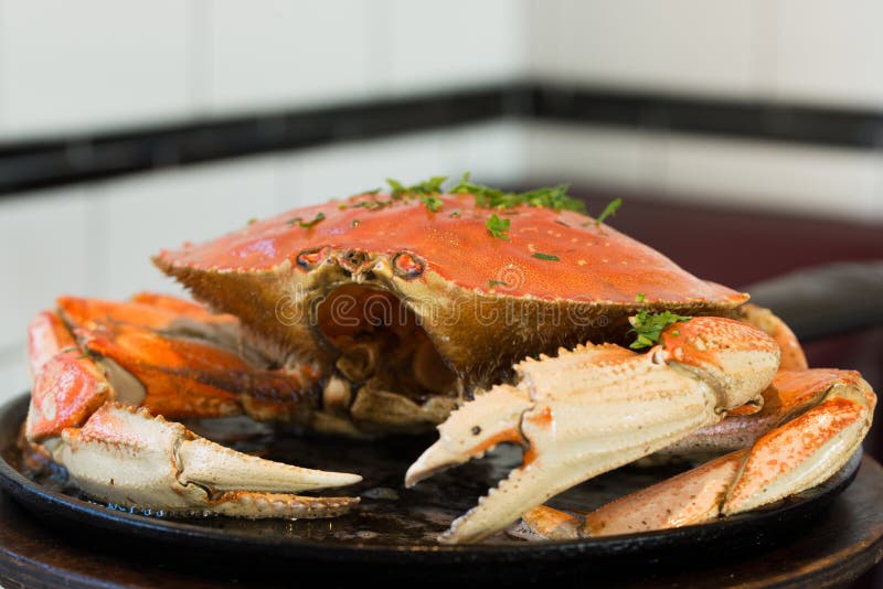 San Francisco Dungeness Crab Stock Photo - Image of legs, arthropods