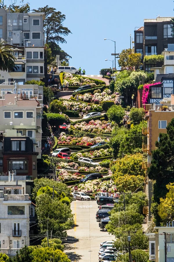 San Francisco Lombard Street 8 voltas do gancho de cabelo