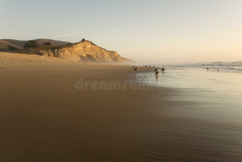 San Gregorio Beach at Sunset