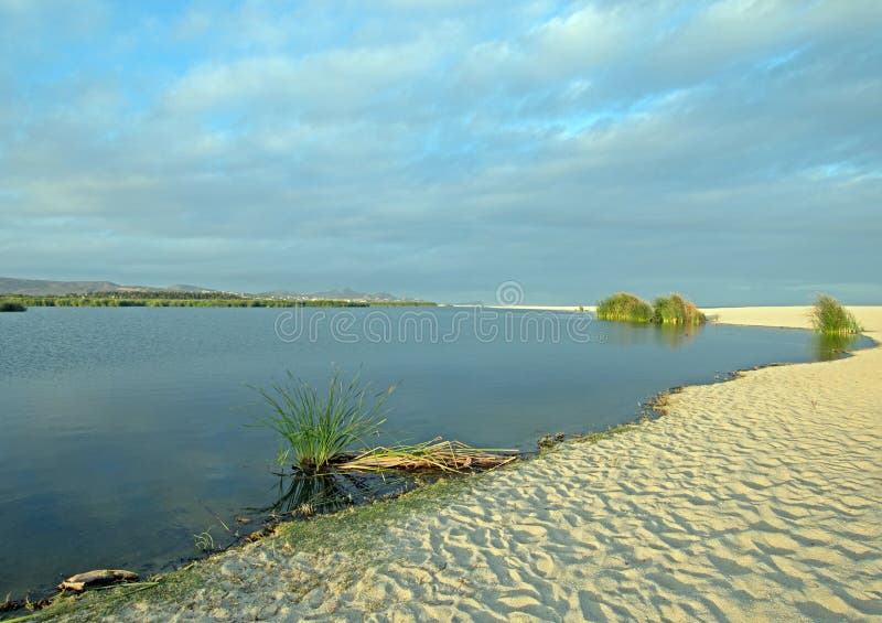 Laguna  estuario natura Riserva costa soltanto nord da Messico.