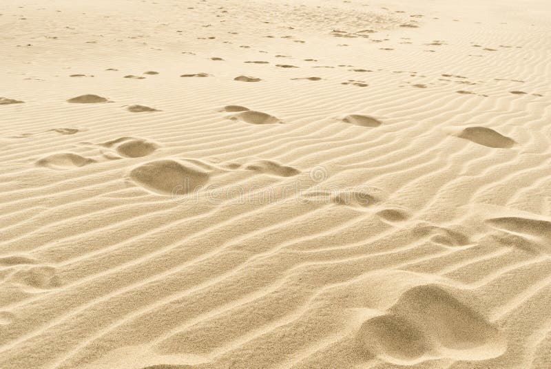 Sand tracks at the beach