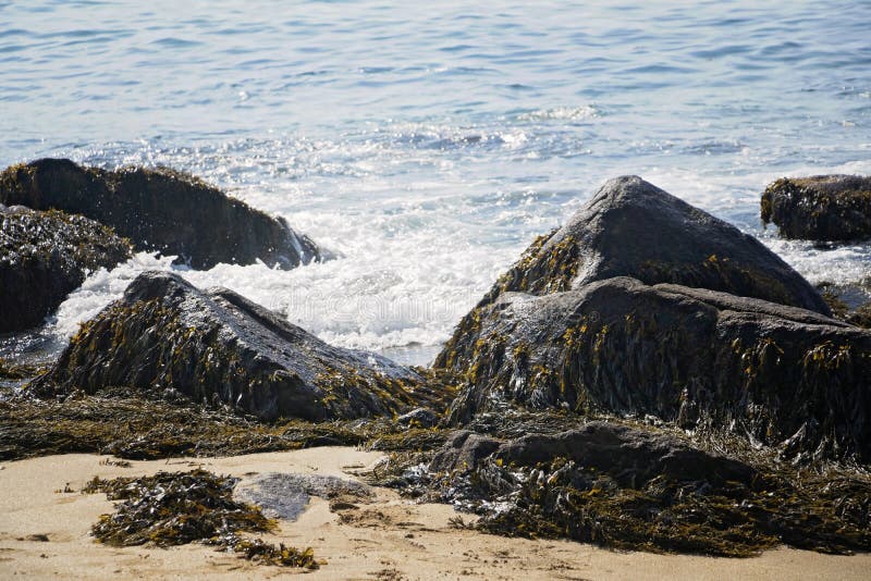 Sand Beach, Acadia National Park, Bar Harbor Maine
A gorgeous beach surrounded by interesting rocks, cliffs and forest.