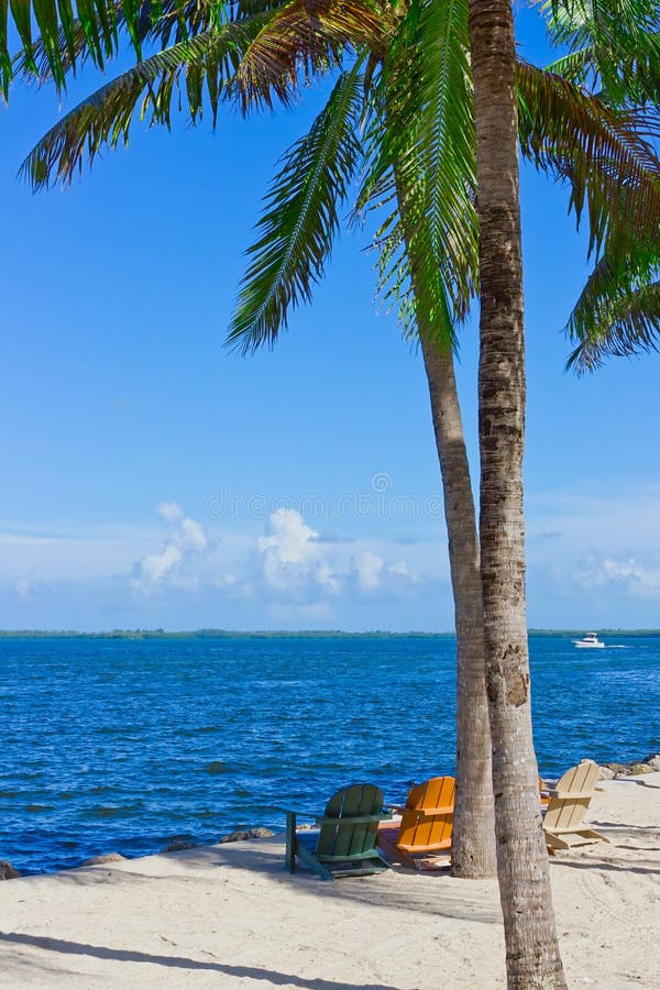 Sand beach with palm trees and beach chairs