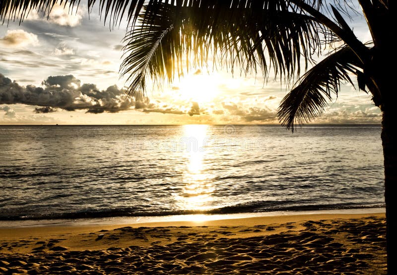 Wine Glasses and Tropical Beach Sunset Stock Image - Image of yellow ...