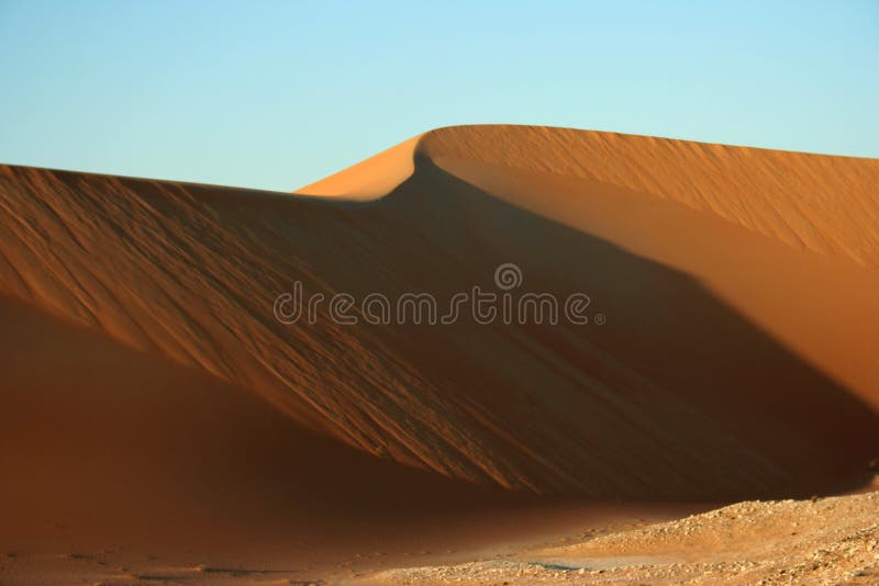 Sand dune royalty free stock photo