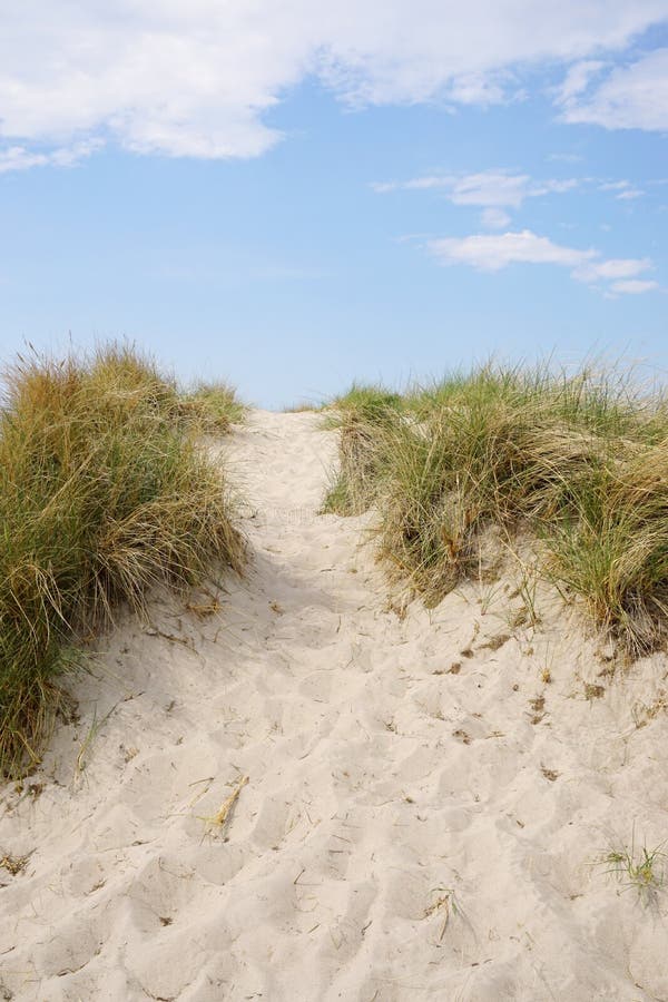 Sand dune at baltic seaside