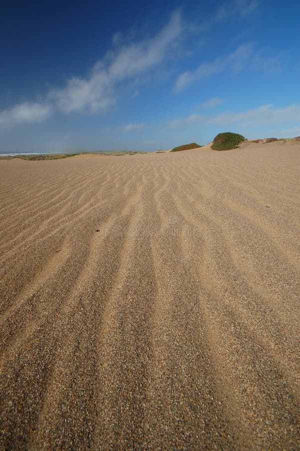 Sand Dune on the beach