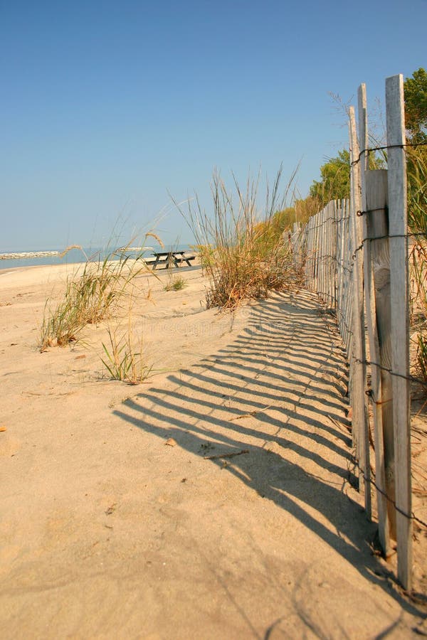 Sand Dune and Fence