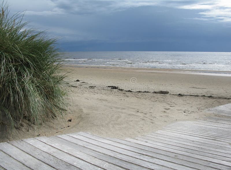 Sand dune landscape