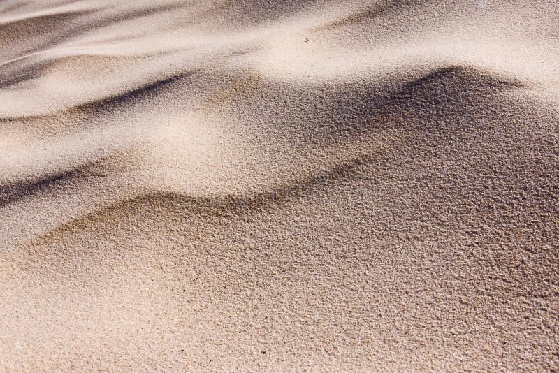 Sand dune ripples