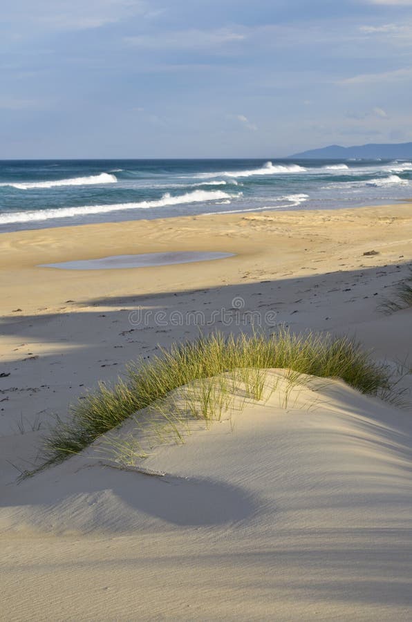 Sand dune, shadows and sea, East coast, Tasmania royalty free stock photos