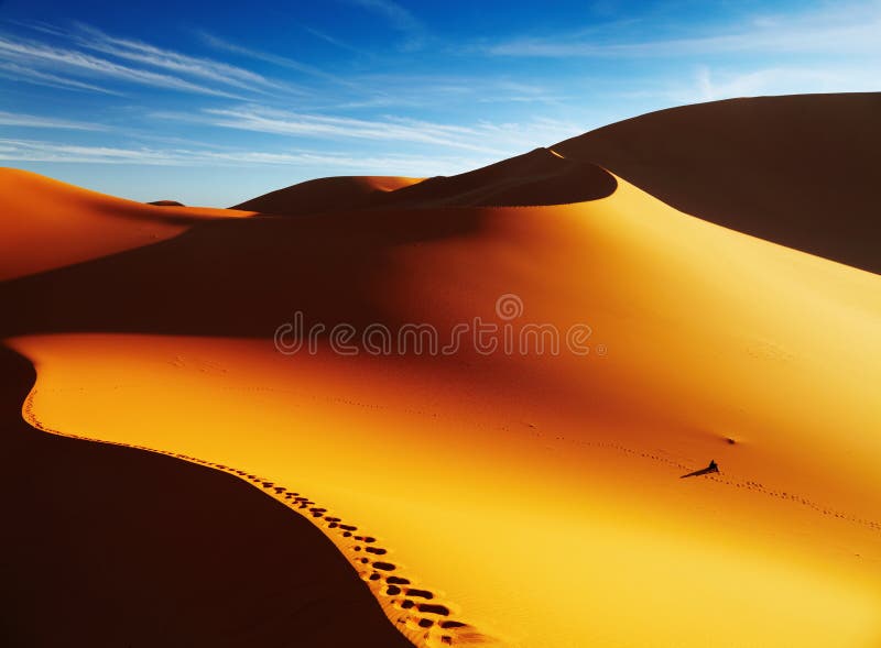 Sand dune at sunrise, Sahara Desert