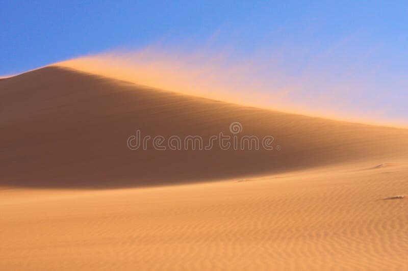 Sand Dune in Wind royalty free stock images