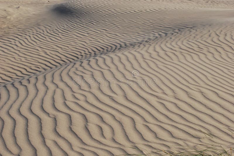 Sand Dunes