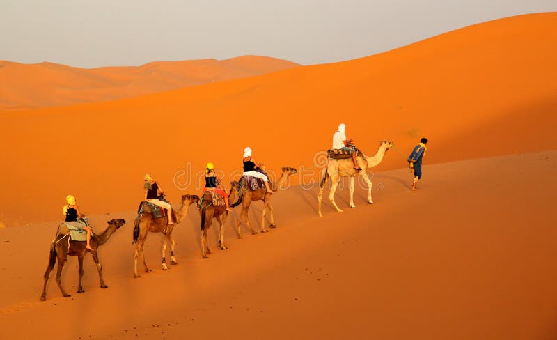 Into the sand dunes