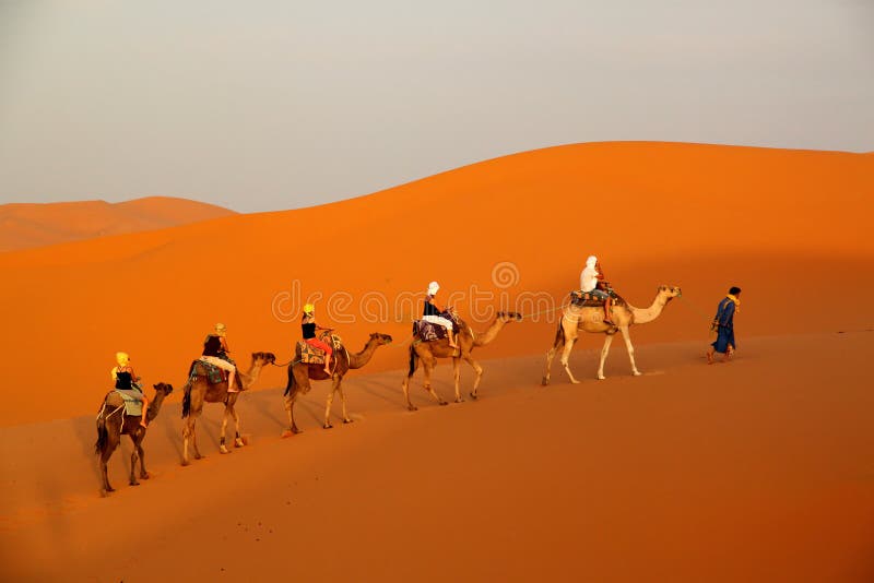 Among the sand dunes