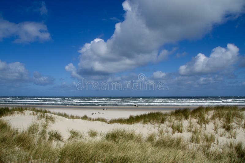 Sand dunes