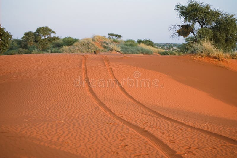 Sand dunes