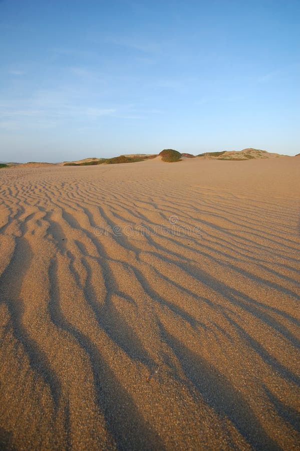 Sand dunes