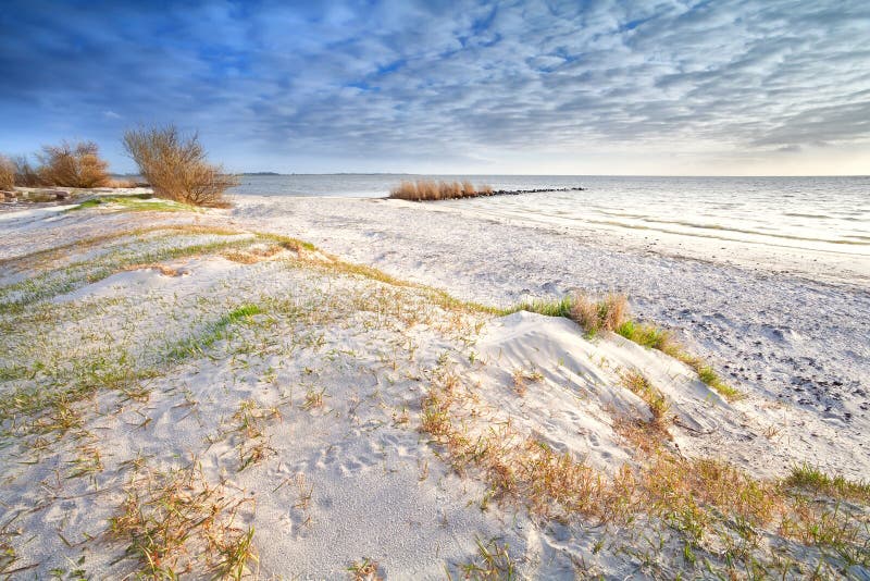 Sand dunes on the beach