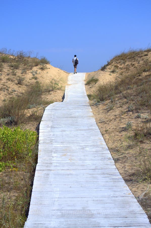 Sand dunes boardwalk traveler