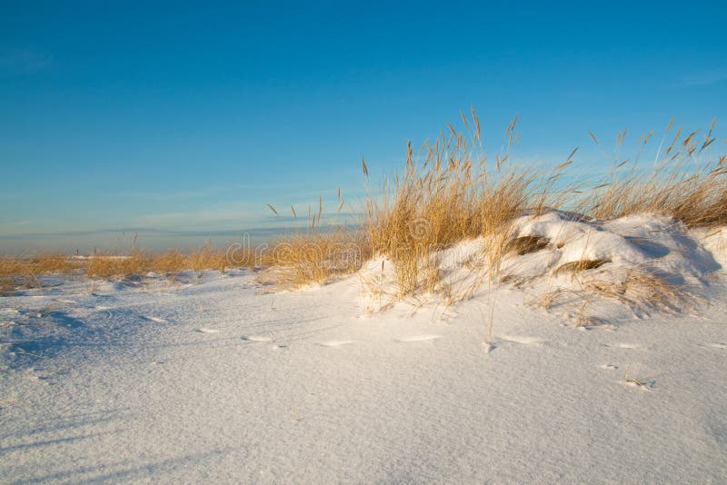 Sand Dunes Covered with Snow Stock Photo - Image of white, snow: 12672172