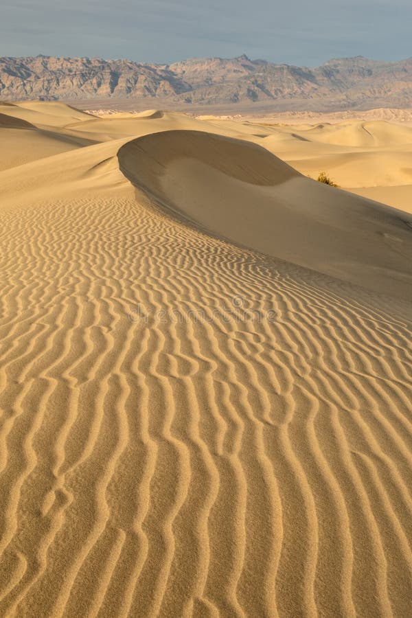 Sand dunes crescent