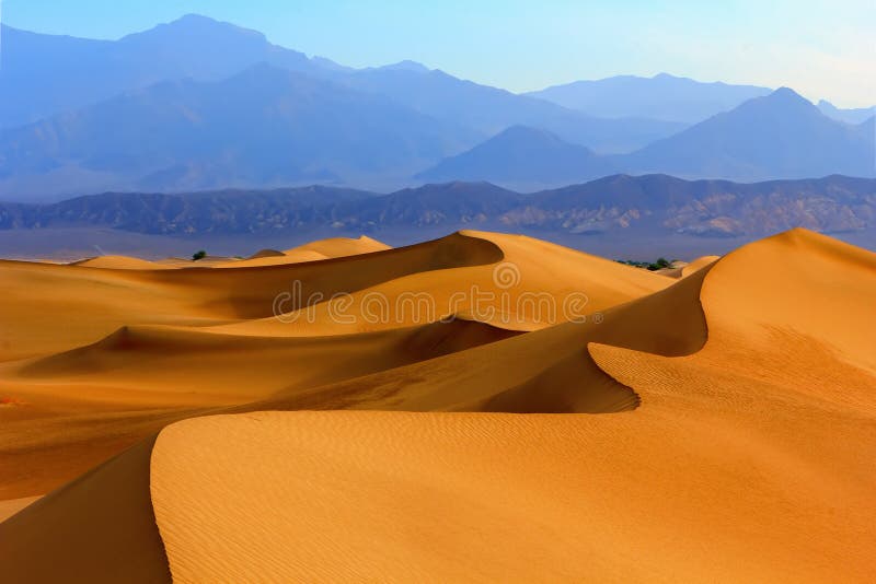 Sand dunes in Death Valley stock photo. Image of national - 57112886