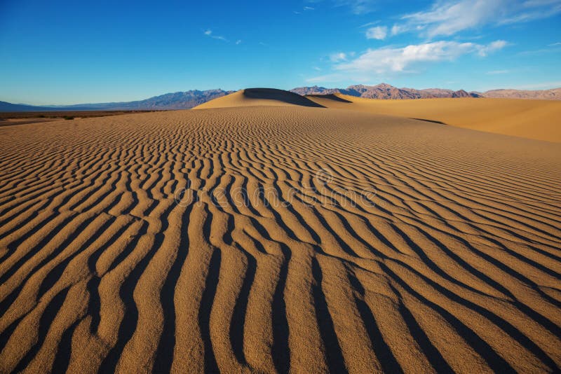 Sand dunes in California stock photo. Image of heat - 131576944