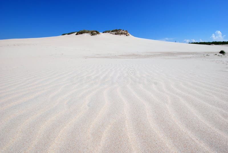 sand dunes on the desert