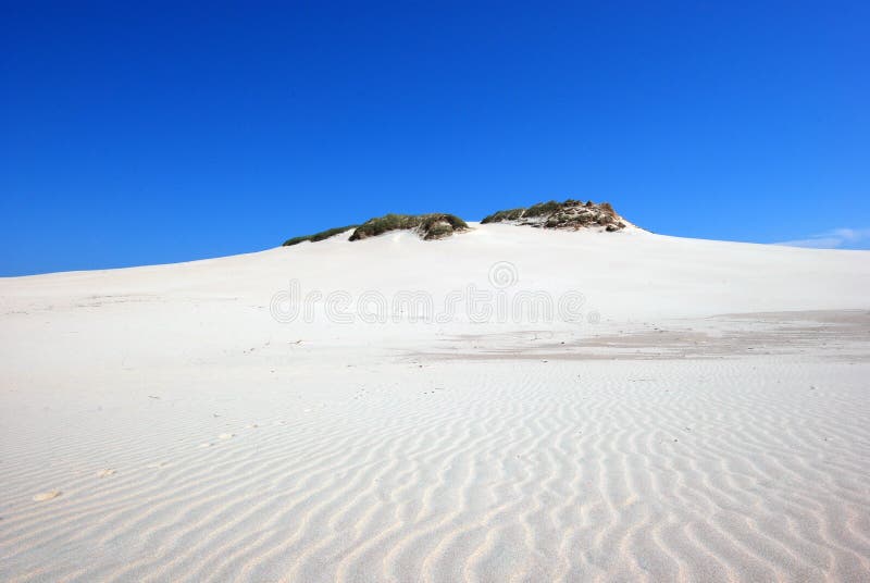 sand dunes on the desert