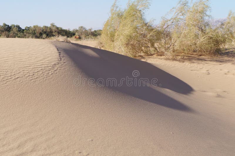 Sand dunes in desert