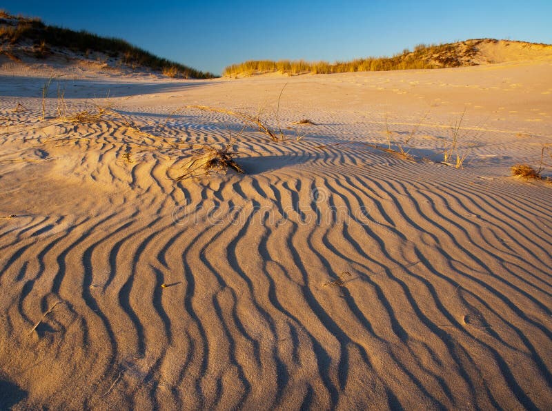 Sand dunes. desert landscape