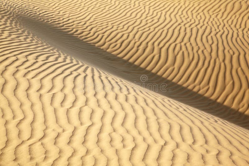 Sand dunes stock photos