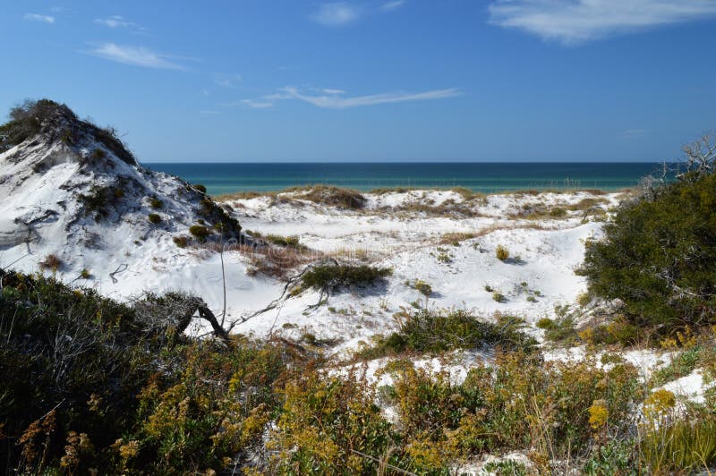 Sand Dunes in Florida Panhandle Stock Image Image of life, dunes 130327429