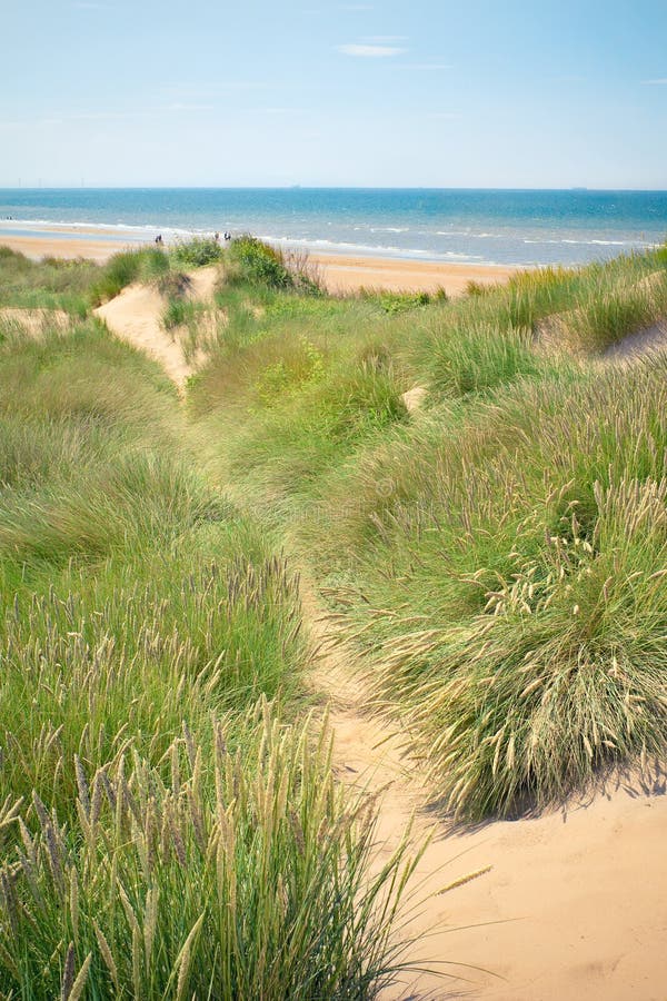 Sand Dunes Of Formby Beach Near Liverpool, UK Stock Image ...