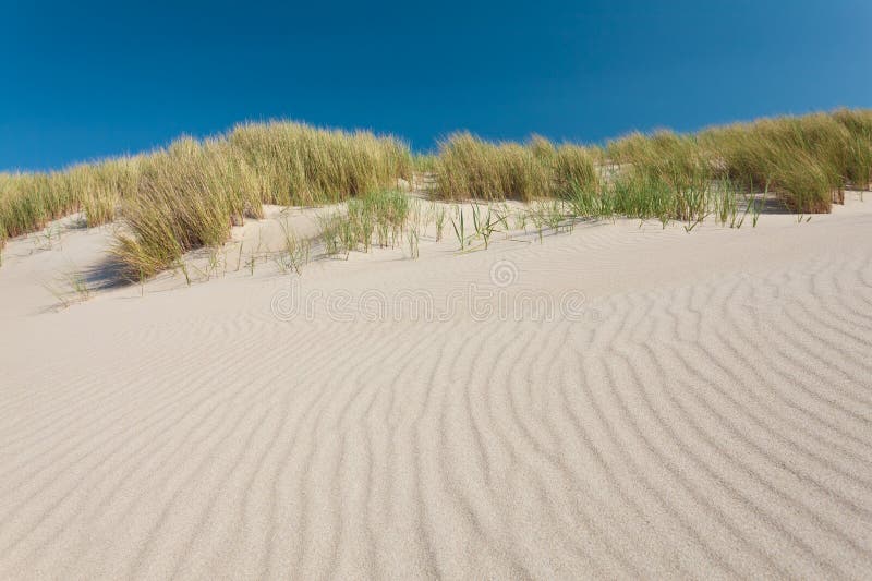Sand dunes with grass in The Netherlands royalty free stock images Sand dunes with grass in The Netherlands royalty free stock images