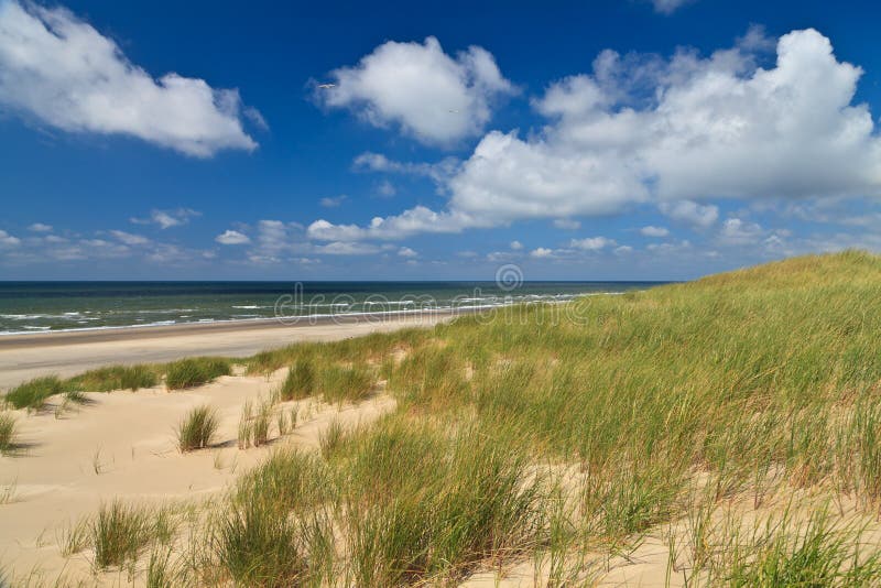 Sand dunes with helmet grass