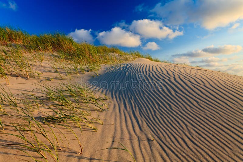 Sand dunes with helmet grass