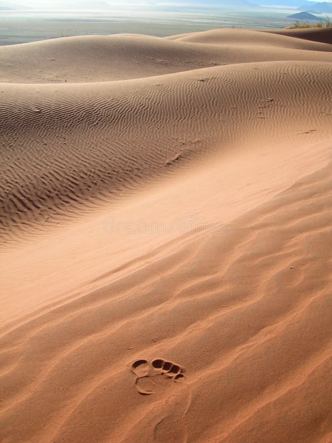 Lunar panoramic with footprint on red sand dunes in the Kalahari Desert, Namibia, Africa