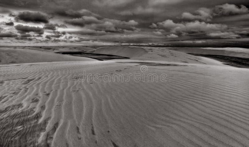 Sand Dunes, Lencois B&W