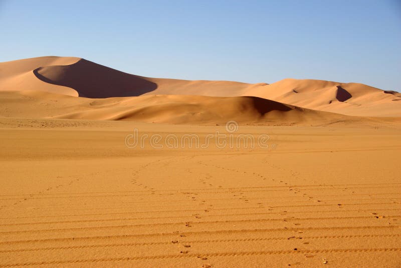 Sand Dunes Libya Stock Photo Image Of Blue Wild Sahara 15374842
