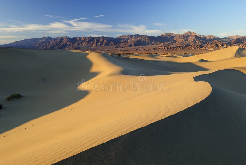 Sand Dunes in Mojave Desert Stock Image Image of desolate