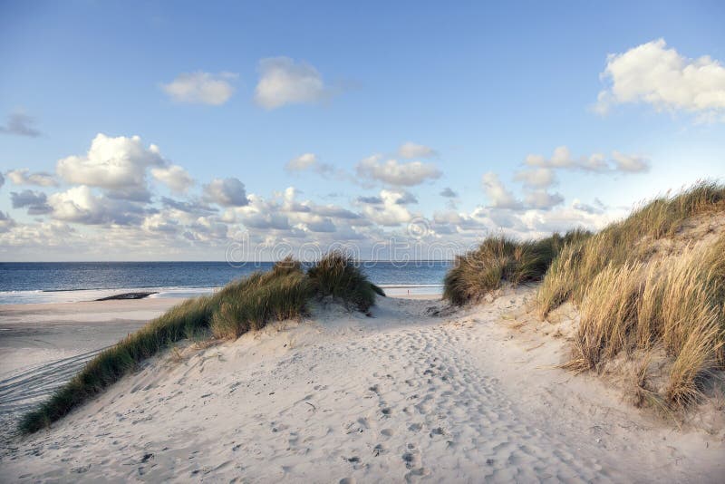 Písek a duny nejblíže téměř opuštěný pláž z v nizozemí modrá obloha.