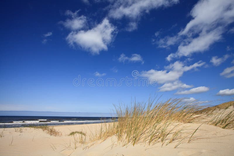 Sand dunes near to the sea